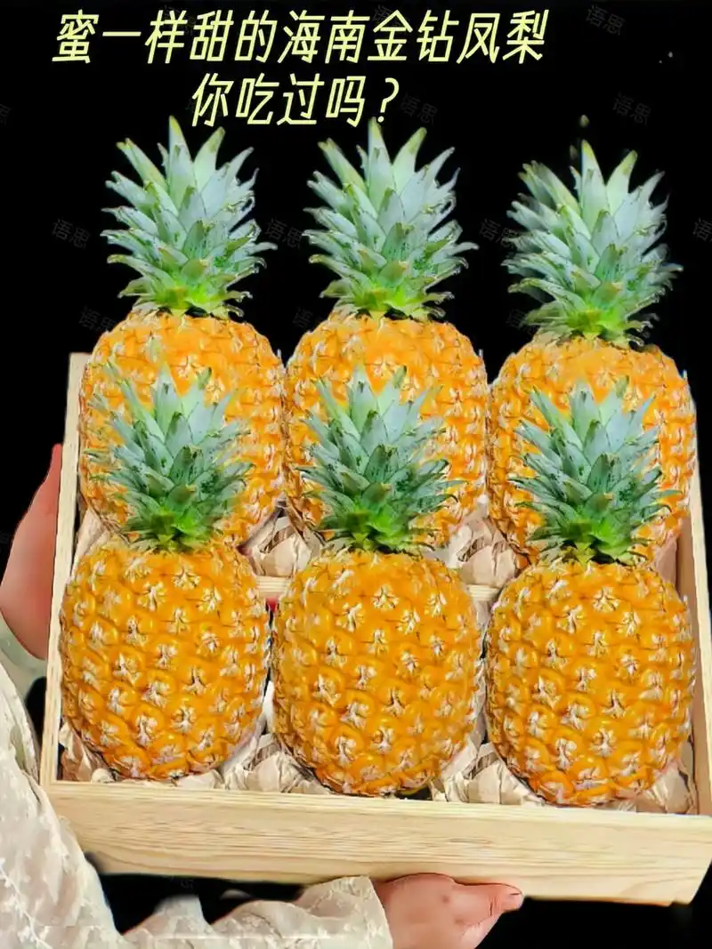 像蜜一样甜的海南金钻凤梨,你吃过吗?海南金钻凤梨,又称手撕凤 - 抖音