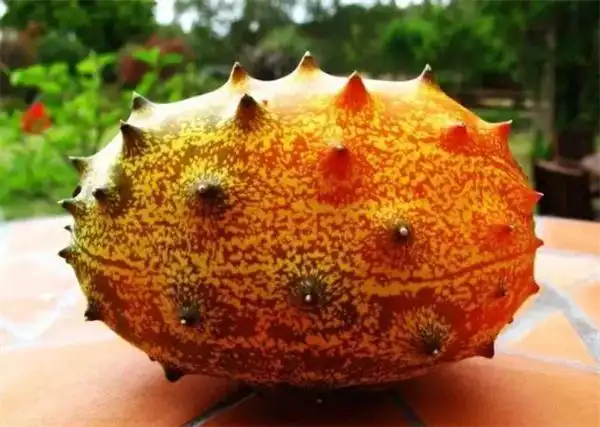 盘点十种最不罕见的水果你吃过吗