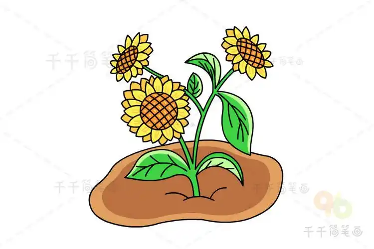 学画向日葵简笔画画法