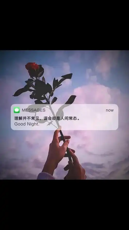 微信状态最火的带字配图