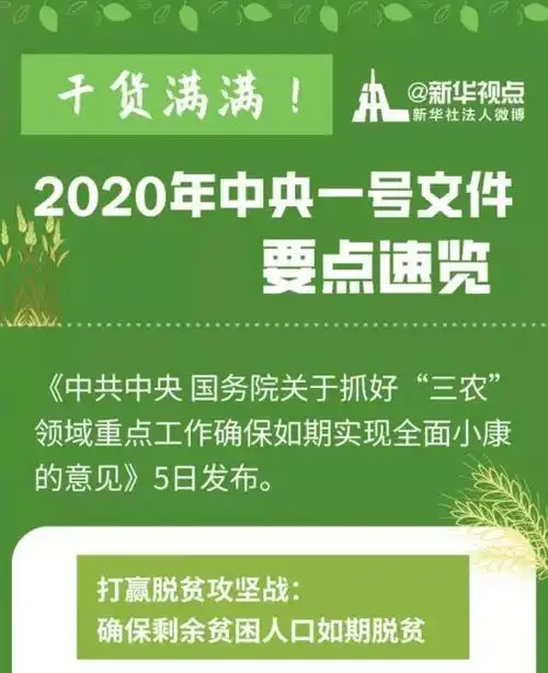 2020年中央一号文件要点速览