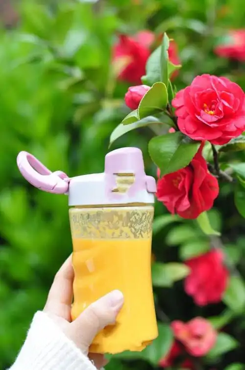 自制饮料每天一杯不节食不运动也能减肥