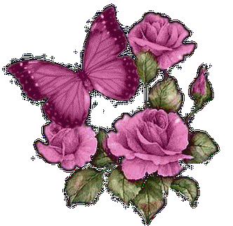 制作音画溶图花蝴蝶素材