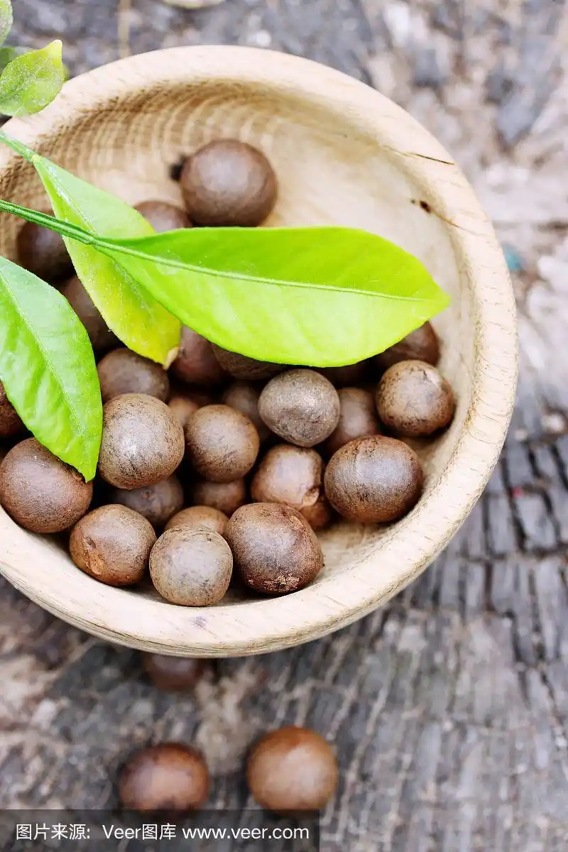 茶树种子,俯视图