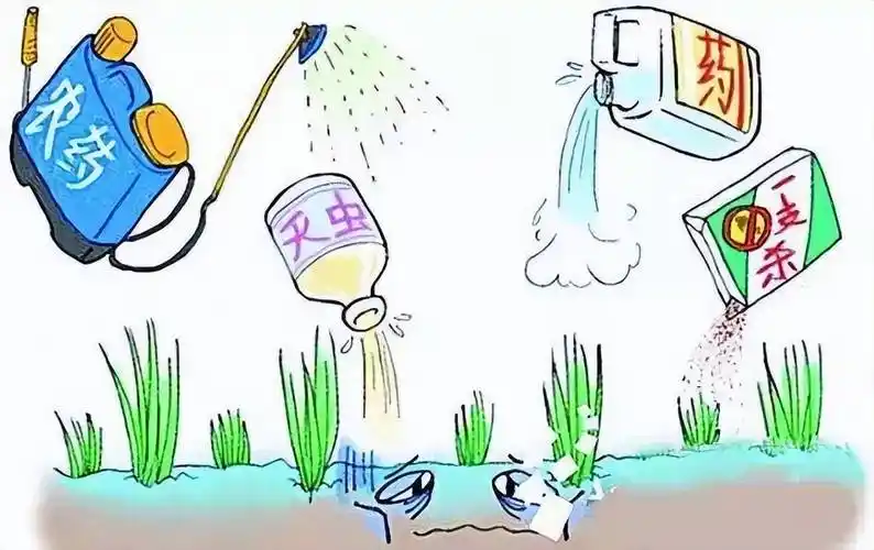 化肥农药的功能与人类疾病_人们_什么_检测