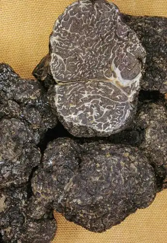 无人,竖图,俯视,室内,特写,静物,条纹,菌菇,生食,菌类,饮食,食用菌