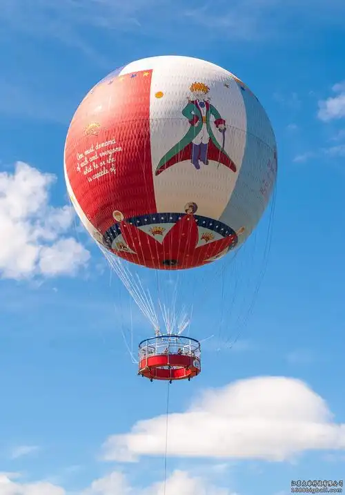 江苏大球科技有限公司