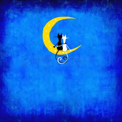 两只猫坐在月亮上