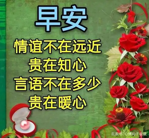 8张非常创意好看的友谊早上好问候图片带字温馨