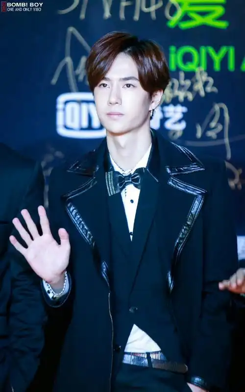 2015年第二次参加爱奇艺尖叫之夜的王一博