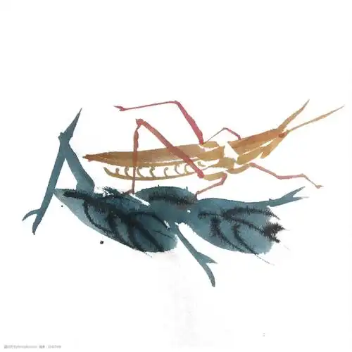 水墨重彩蚂蚱手绘插画