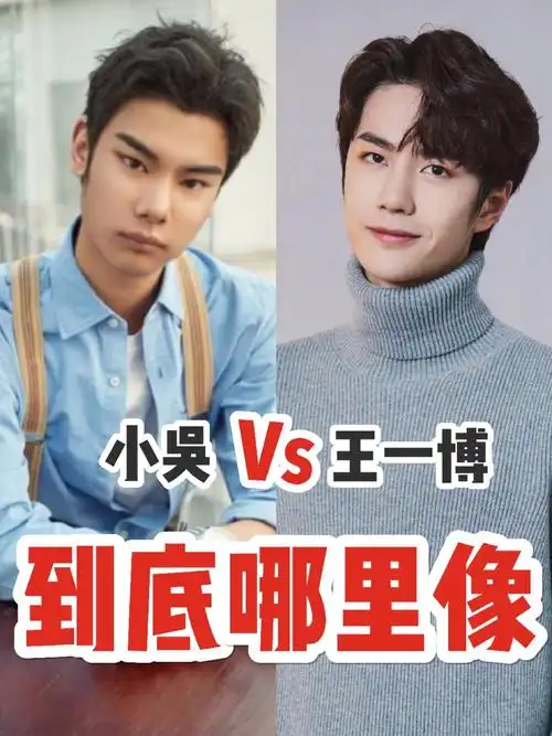 一旦代入这个设定,好像就逃脱不出迷之相似的王一博和小吴.
