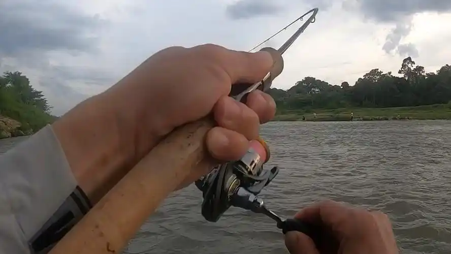 激流路亚马口_哔哩哔哩 (゜-゜)つロ 干杯~-bilibili