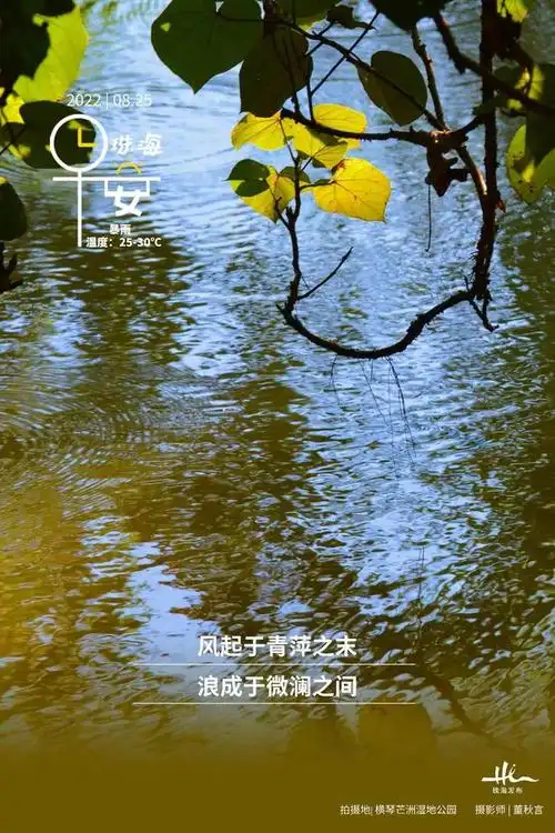 目前台风橙色预警信号正在生效,请继续做好防御风,雨,浪,潮各项相关