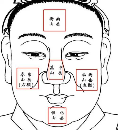 面相算命图解最易薄情的男人面相_徐子淇面相分析 豪门媳妇面相_面相