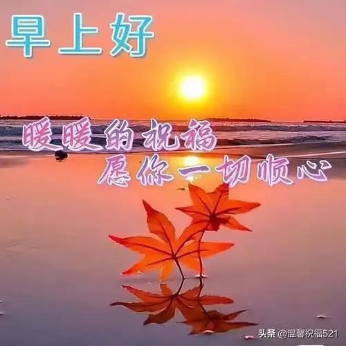 不用打字聊天的早上好图片 2023创意好看的早安问候图片带字温馨_网易