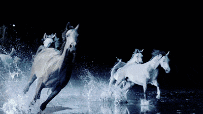 400_225gif 动态图 动图