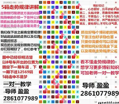 2019幸运飞艇最新7码8码技巧规律看懂走势56码公式滚雪球教学