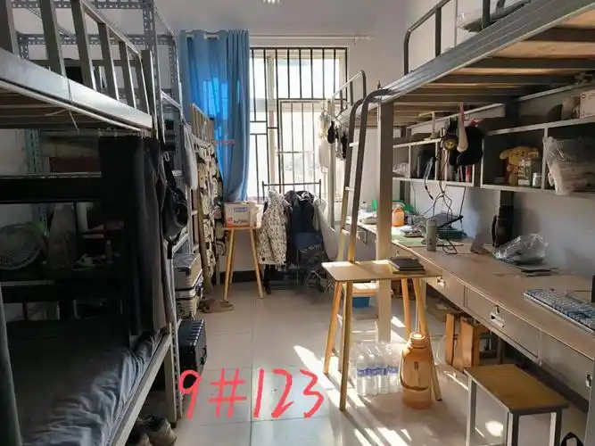 艺术系开展"特色宿舍"创建评选活动-河南科技学院高等职业技术学院