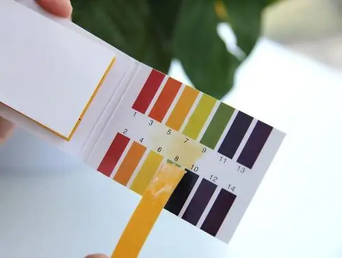 ph值范围是多少,是否可以小于0大于14