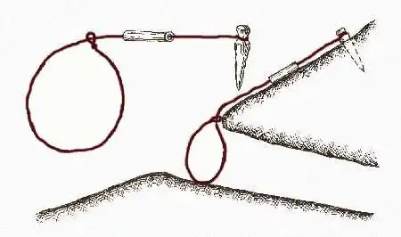 松鸡等鸟类陷阱制作