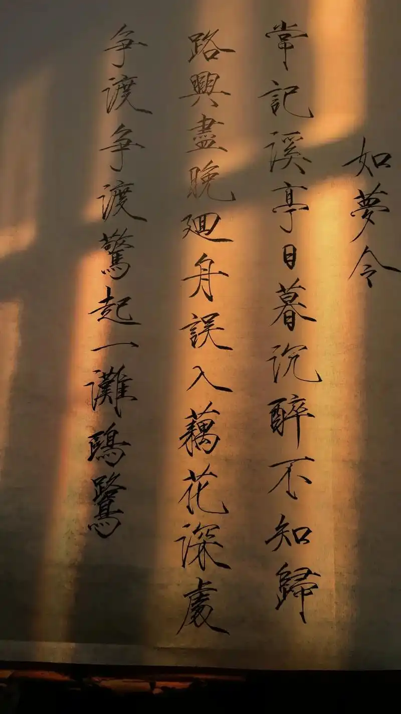 "常记溪亭日暮,沉醉不知归路" #瘦金体 #手写 #传统文化 - 抖音