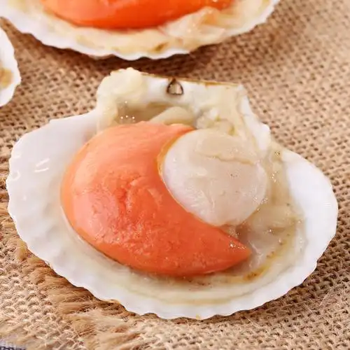 虾夷半壳扇贝6只(9-10) 350g