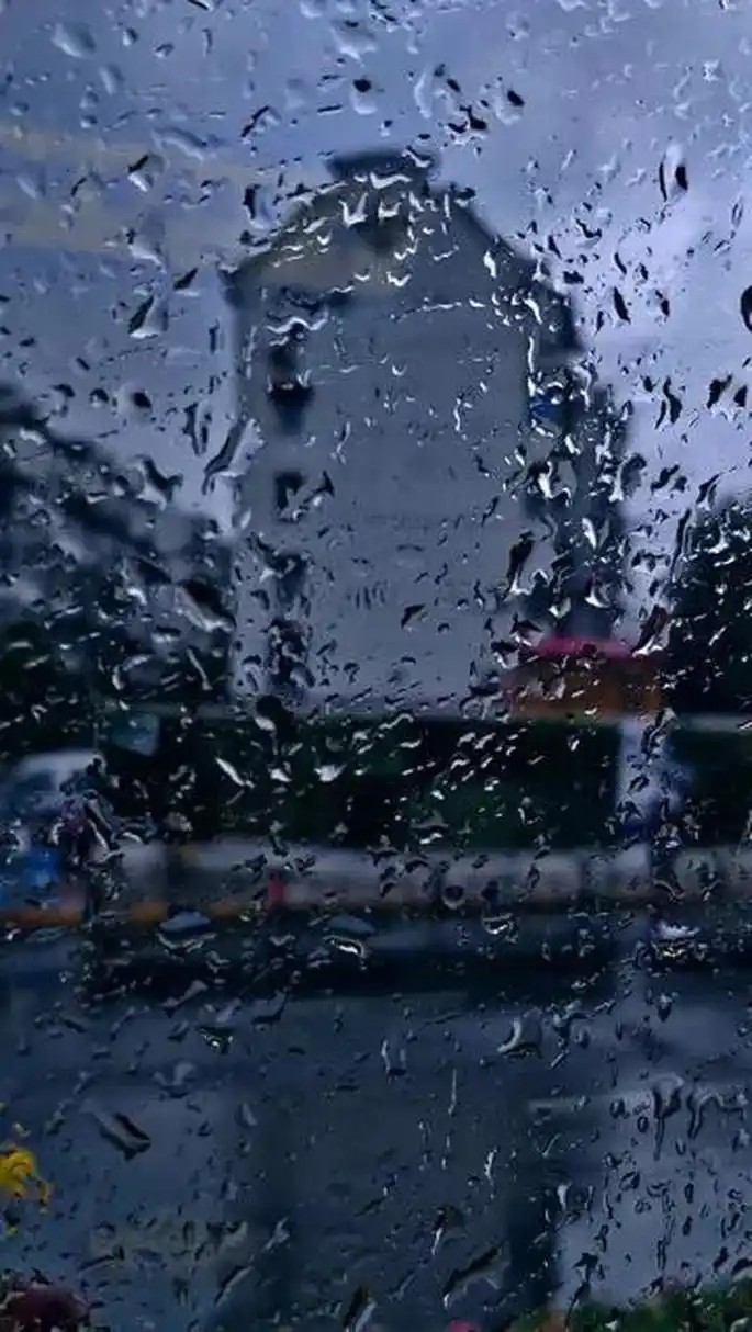 早晨下起了久违的小雨,漫步雨中!