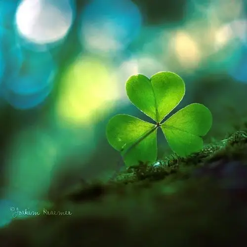 新生.希望.-堆糖,美好生活研究所