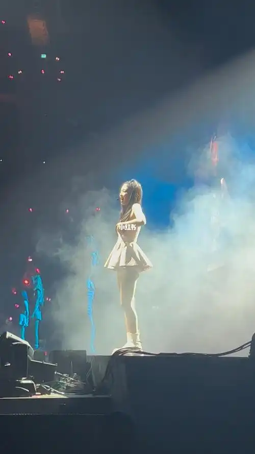 919191#blackpink演唱会  #jennie  #jennie  #金珍妮