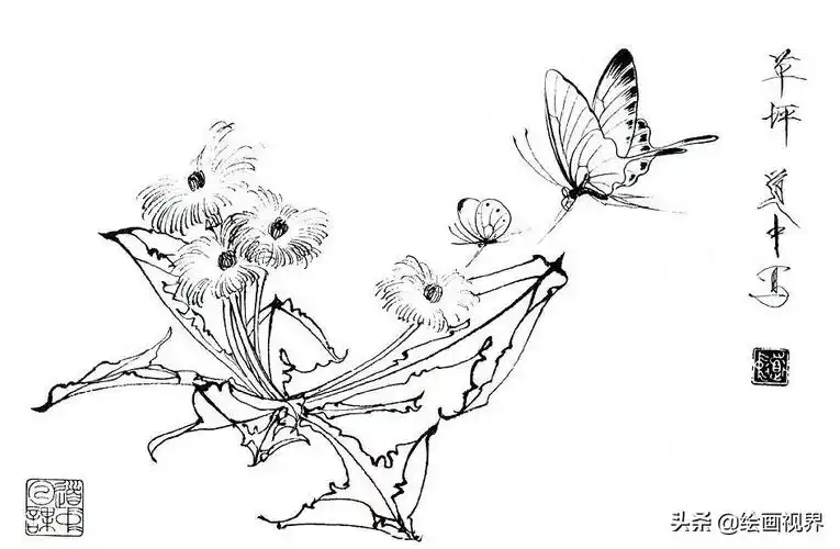 蝴蝶的画法遵循以意描画,才是白描花卉中蝴蝶正确的画法