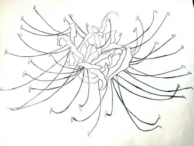 她是你耳畔的风,是你头顶的云,你所植的八百里曼珠沙华每一株都是她