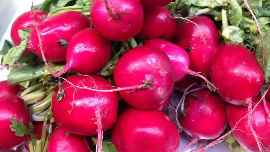 蔬菜红萝卜图片-花卉壁纸-高清花卉图片-第8图-娟娟壁纸