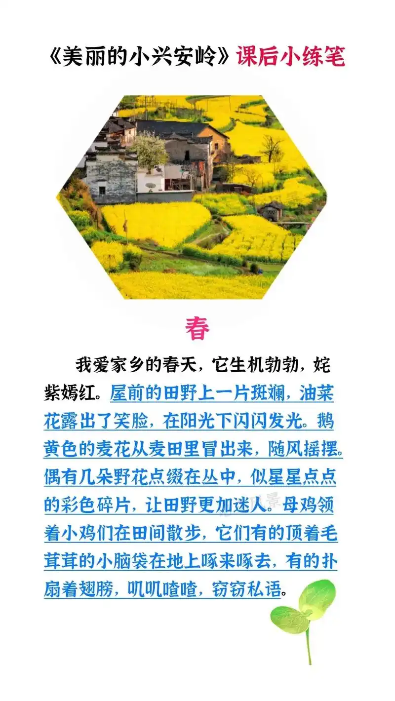 《美丽的小兴安岭》课后小练笔#一年四季 #作文素材 #家长收 - 抖音