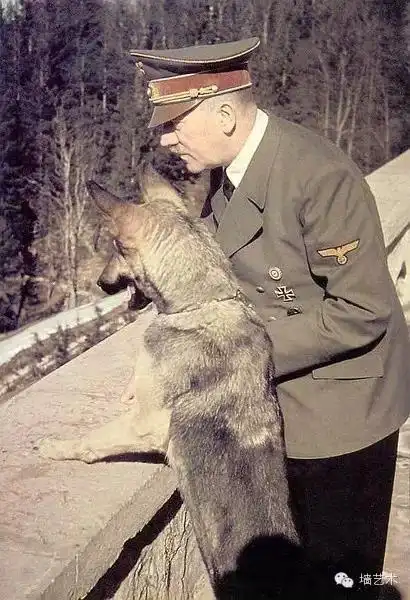 看77年前德国纳粹大场面的老照片(下)