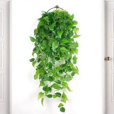 绿萝客厅挂墙壁挂植物装饰垂吊假花藤条室内藤蔓吊兰吊篮仿真绿植