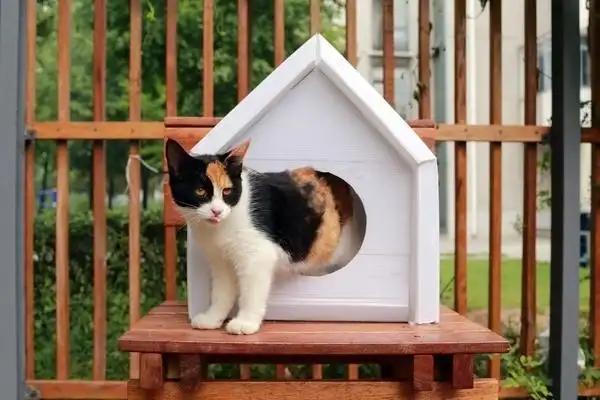 有什么做给动物的建筑?