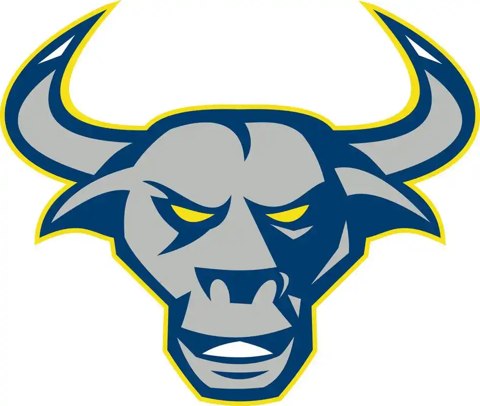 德克萨斯,长角牛,公牛,头部,正面,插画,迎面,隔绝,白色