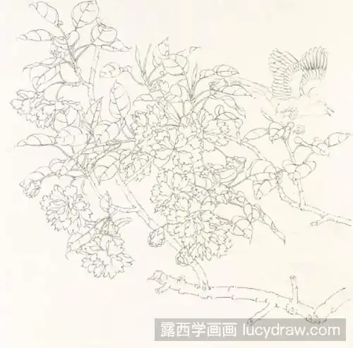 樱花工笔画教程