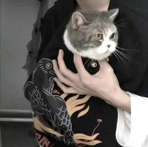 一个抱着猫的男生头像