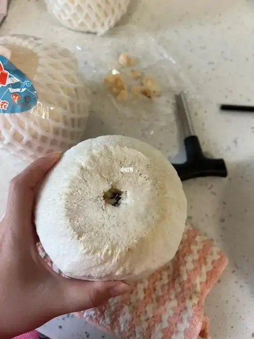 正确开椰子小技巧