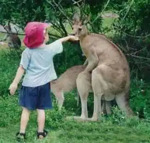 动物繁殖后代是生存的第一天性,无论低等动物还是高等动物都离不开性