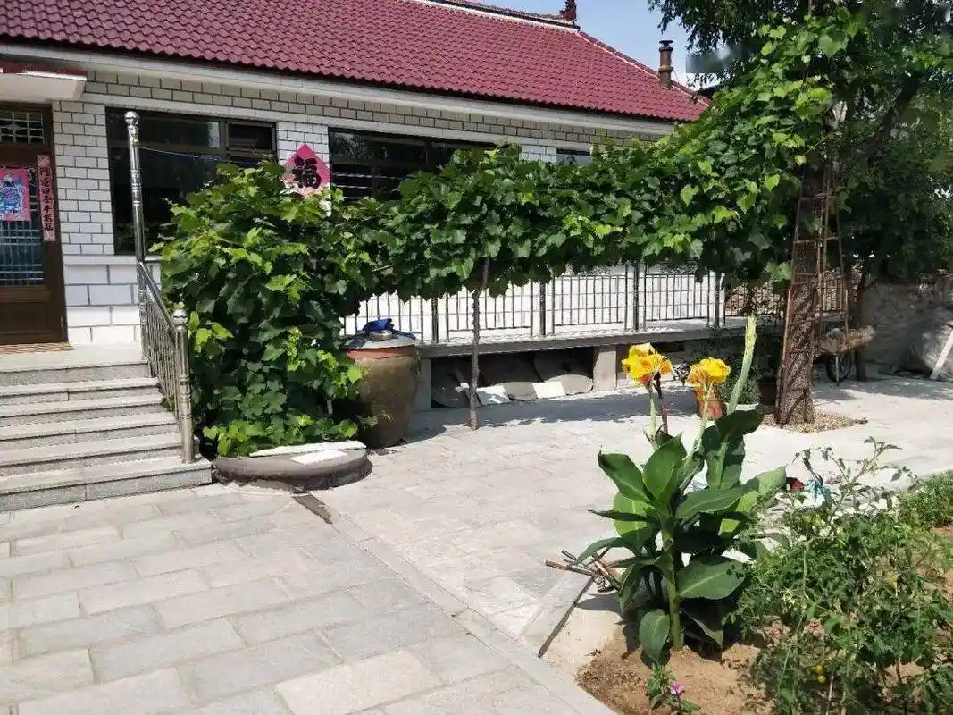 晒晒我家小院子乡镇篇展示