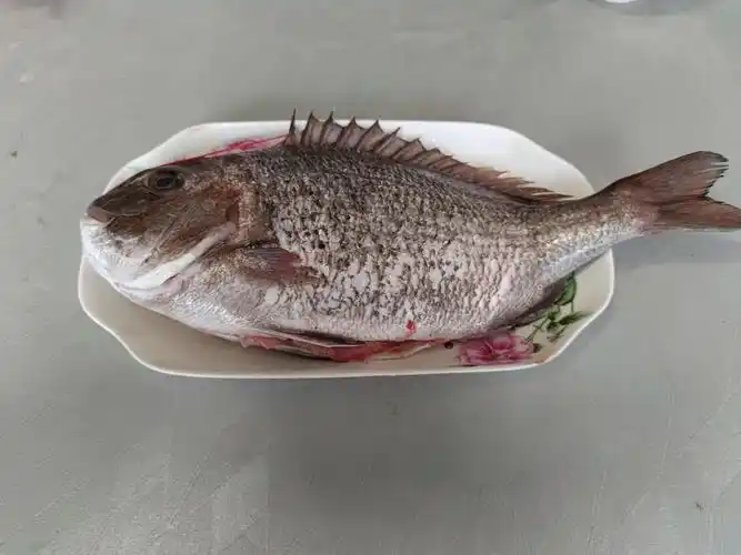 中国北方6大海鱼是哪些你吃过几种哪种才是海鱼之王