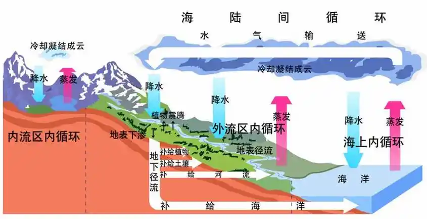 物质循环的特点