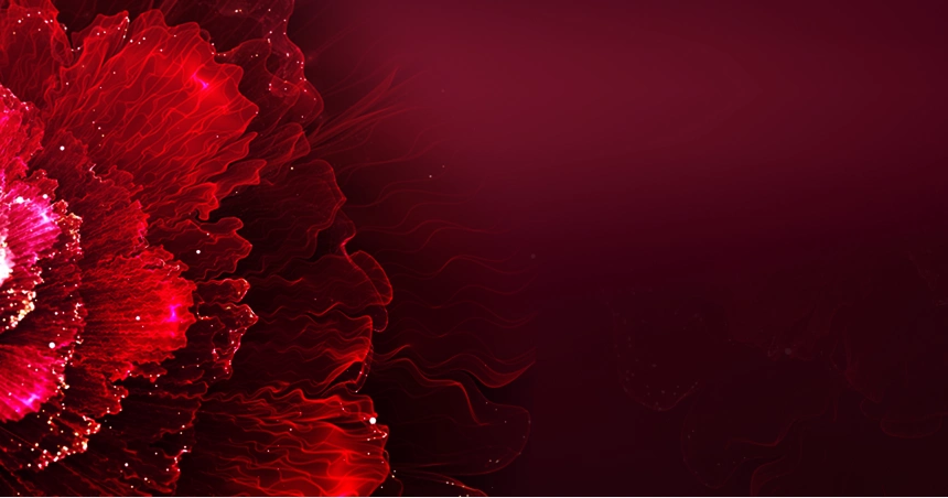 红色花卉质感大气庆典宣传海报背景