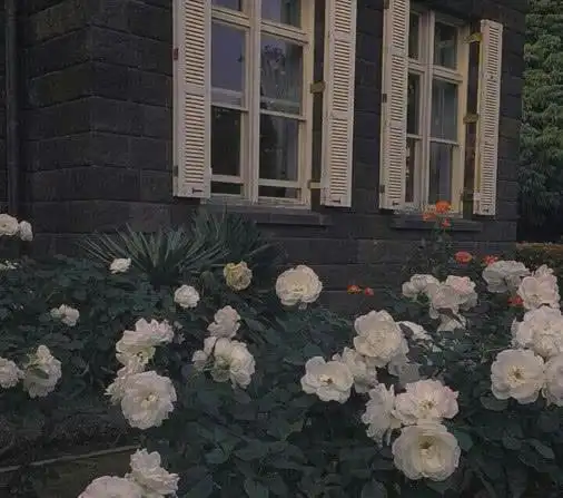 暗恋苦涩背景图暗恋大概就是我喜欢你和你没有关系