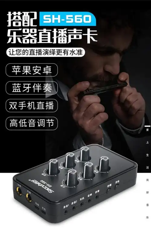 得胜whm24a口琴无线拾音器24孔口琴专业演奏级麦克风话筒扩音器