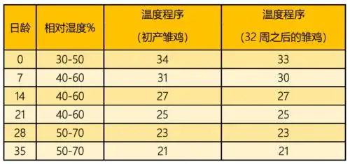 科宝:初产雏鸡的育雏管理要点_温度