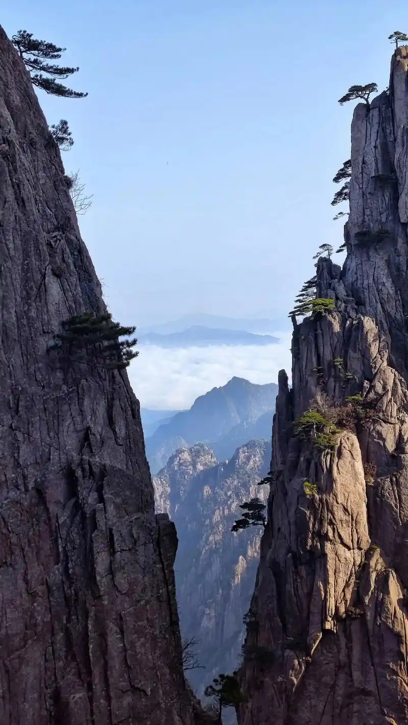 来爬黄山呀,一爬一个不吱声#登黄山天下无山 #黄山风景 - 抖音